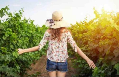 Villa Tur�stica Camina Y Rioja