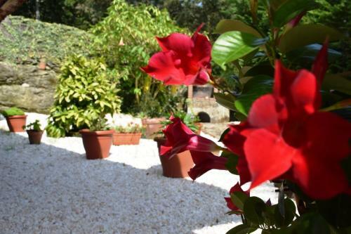Apartamento O Mencer Do Cami�o