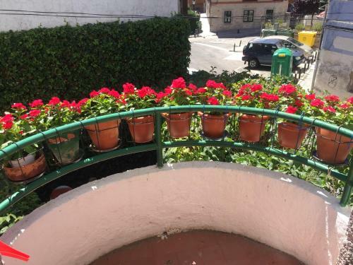 Apartamento El Balc�n De Araceli