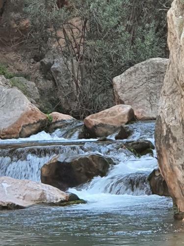 La Dama Azul Rural