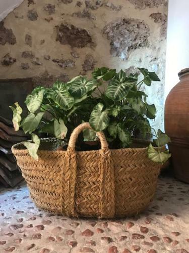 Casa Rural La Antigua