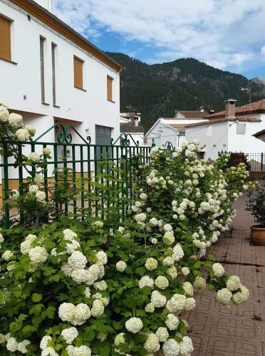 Finca Rio Borosa