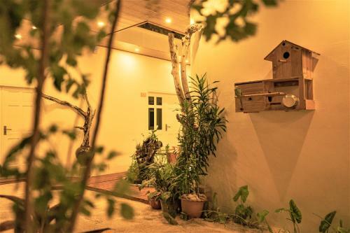 Hotel Nala Island Village