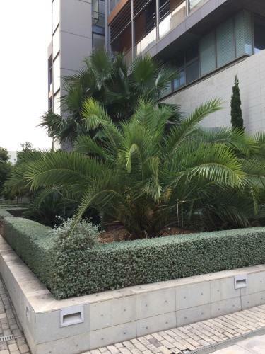 Apartamento Loft With Terrace 24m2, Swimming Pool And Garage
