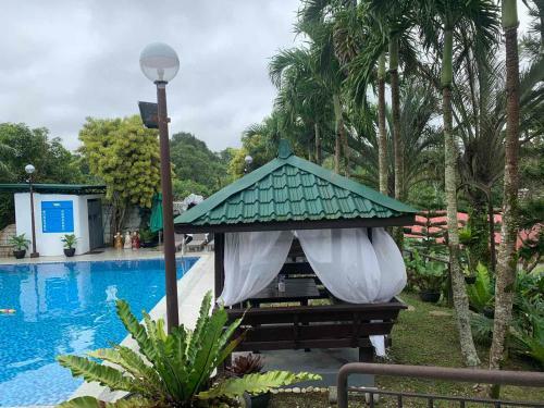 Dwell Family Resort