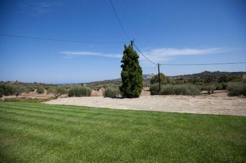 The Olive Grove Villa/privatepool