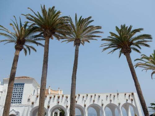Bed & Breakfast Viva Espa�a