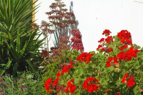 Jingtu Wellness B&B