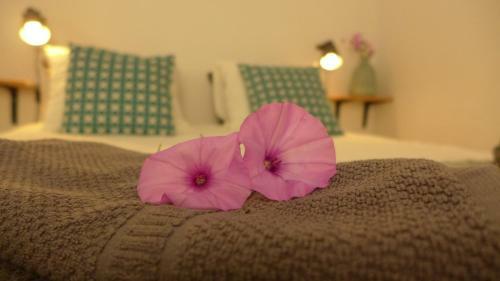 Bed & Breakfast Coraz�n Andaluz Guesthouse