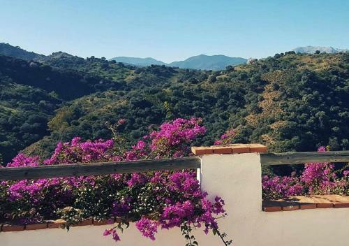Bed & Breakfast Coraz�n Andaluz Guesthouse