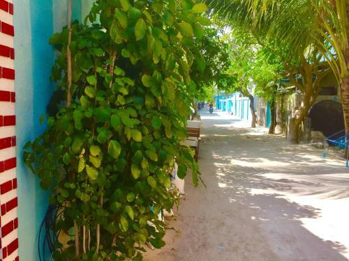 Hotel Ocean Way Guraidhoo