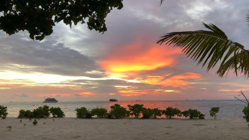 Hotel Iris Beach Residence