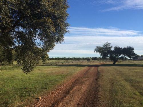 Apartamento Casa Rural Valdezaque