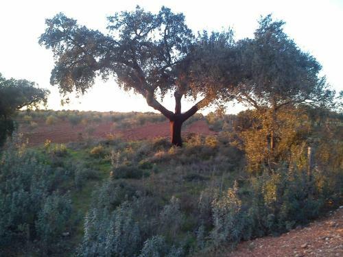 Apartamento Casa Rural Valdezaque
