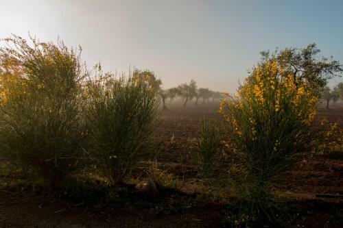 Apartamento Casa Rural Valdezaque