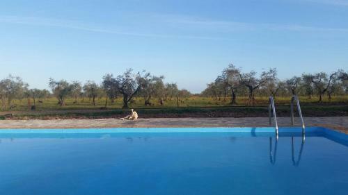 Apartamento Casa Rural Valdezaque