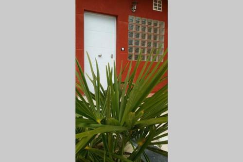 Apartamento La Palmera II Junto A Fr�as