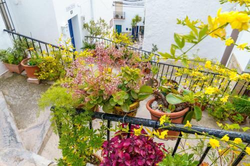 Casita Competa
