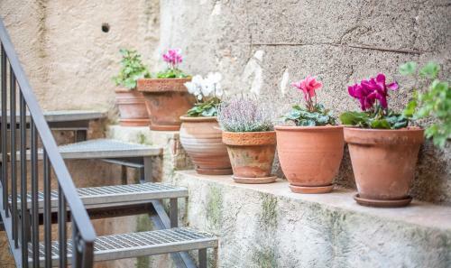 Bed & Breakfast Cal Giral II