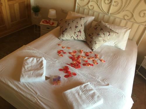 Bed & Breakfast Higos Chumbos, Casa Rural Compartido