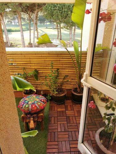 Apartamentos Indo Loma Sancti Petri Gl