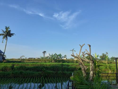 Hotel Griya Bun Sari 2