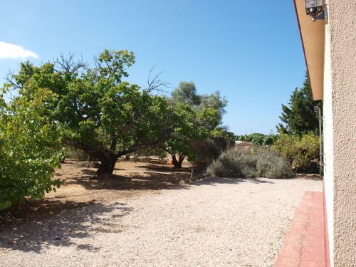 El Arrabal De La Barrosa