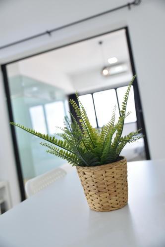 Apartamento Gt Home Encorp Strand Residence (Alpha Ivf )