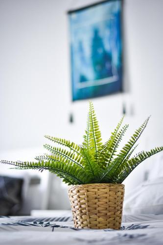 Apartamento Gt Home Encorp Strand Residence (Alpha Ivf )