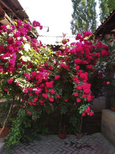 Hostal Guest House Kairat