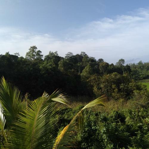 Apartamento Uwani Villa