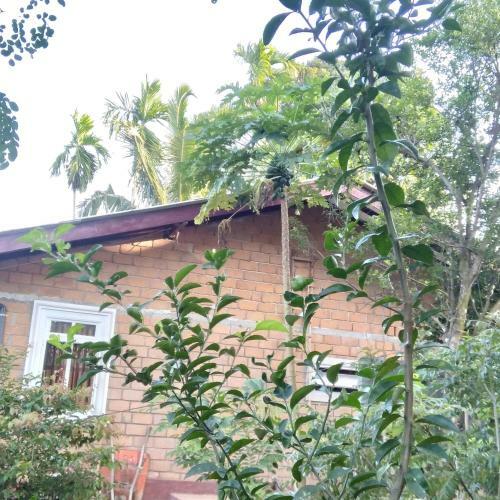 Apartamento Uwani Villa
