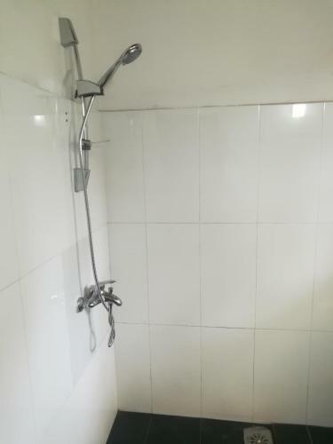 The Nest Home Stay