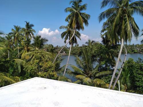 Bed & Breakfast Golden Villa