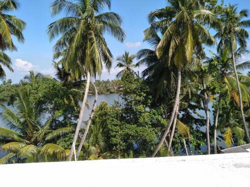 Bed & Breakfast Golden Villa