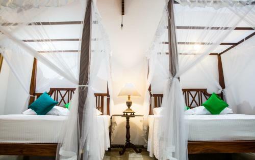Hostal Amba Luxury Boutique Retreat