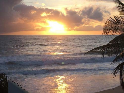 Hostal Garland Beach Villa