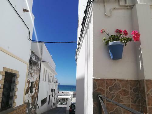 Apartamento Casa Pepa
