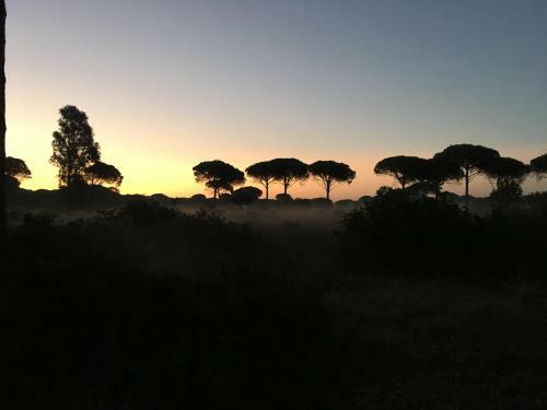 Los Candiles