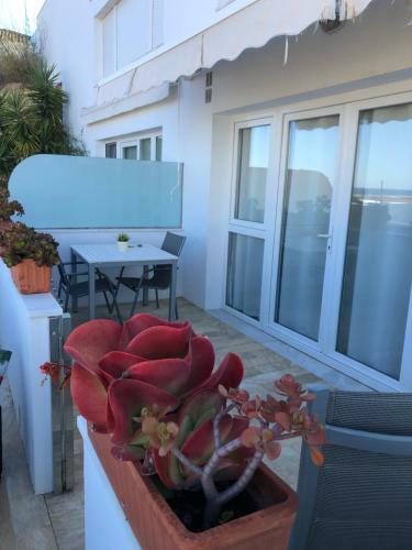 Apartamento Estudio Lala