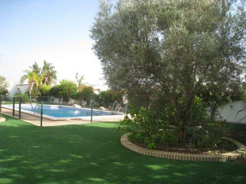 Apartamentos Los Olivos
