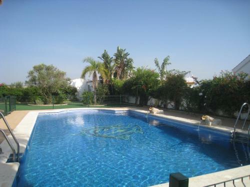 Apartamentos Los Olivos