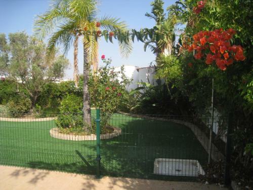 Apartamentos Los Olivos