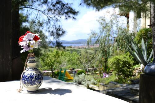 Villa House Antaya