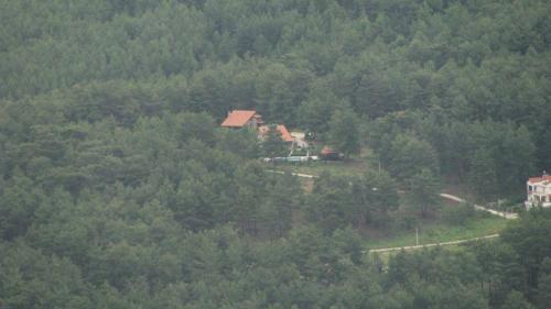 Hotel Dikencik Cottages