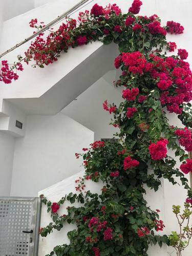 Apartamento La Ola