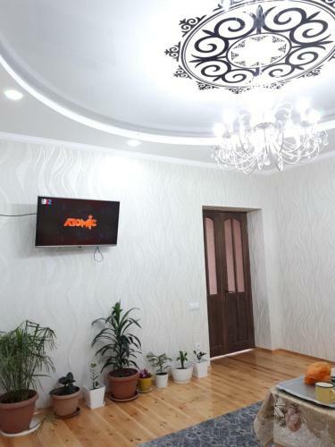 Hostal Traveller