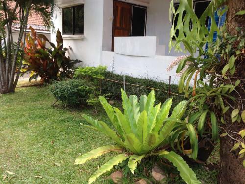 Hostal Chaisuk Bungalow