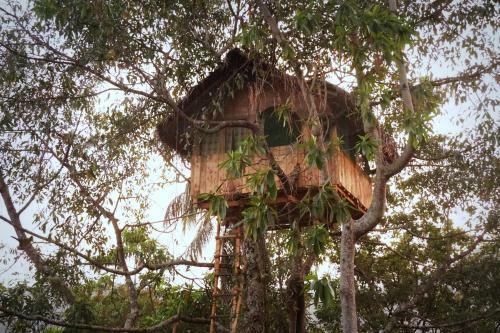 Kandy Nature Resort
