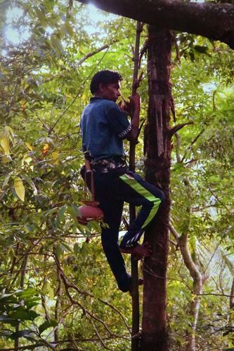 Kandy Nature Resort